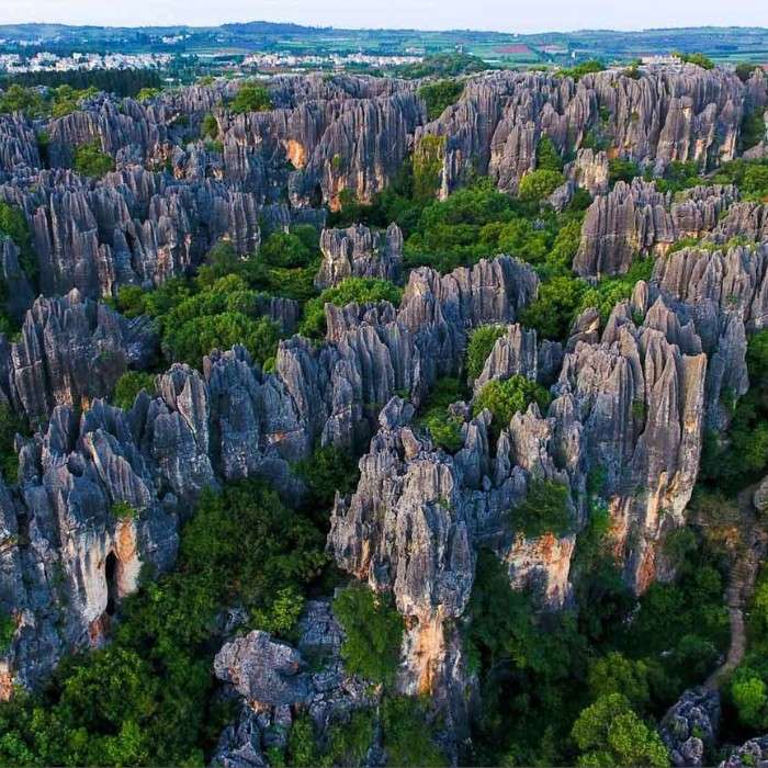 Stone Labyrinths & Flower Markets 