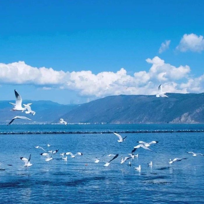 Scenic Peaks & High-Speed Rails 