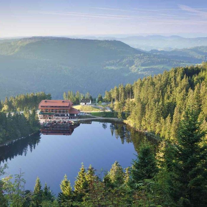 Leisurely Waters or Black Forest Wonders