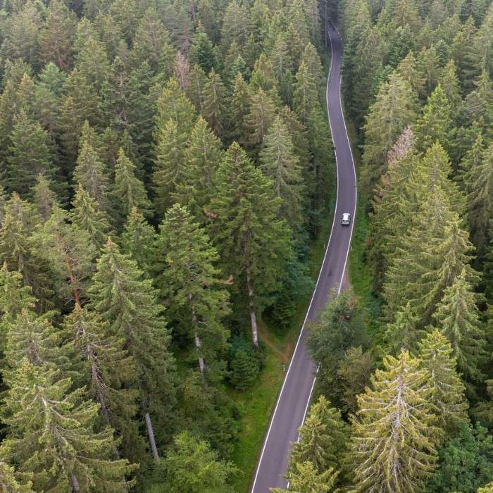 Autobahn Thrills & Black 