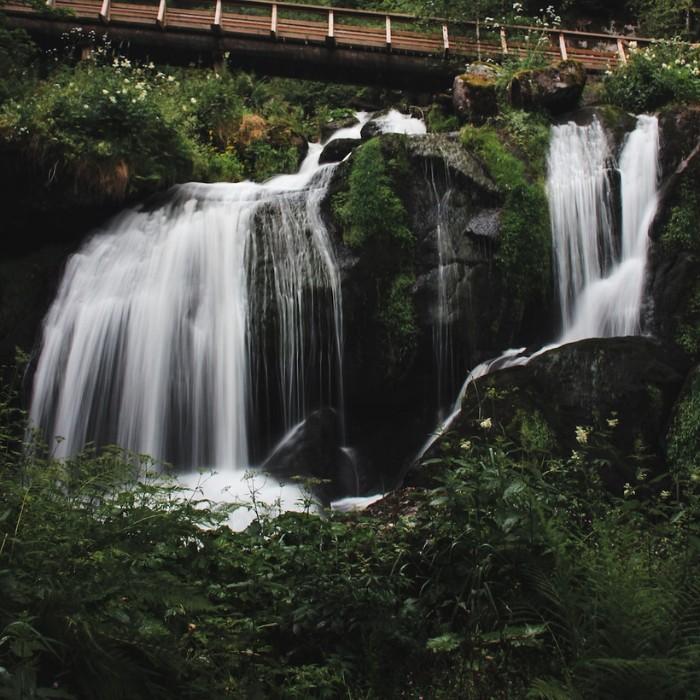 Winding Woods & Lakeside Luxury