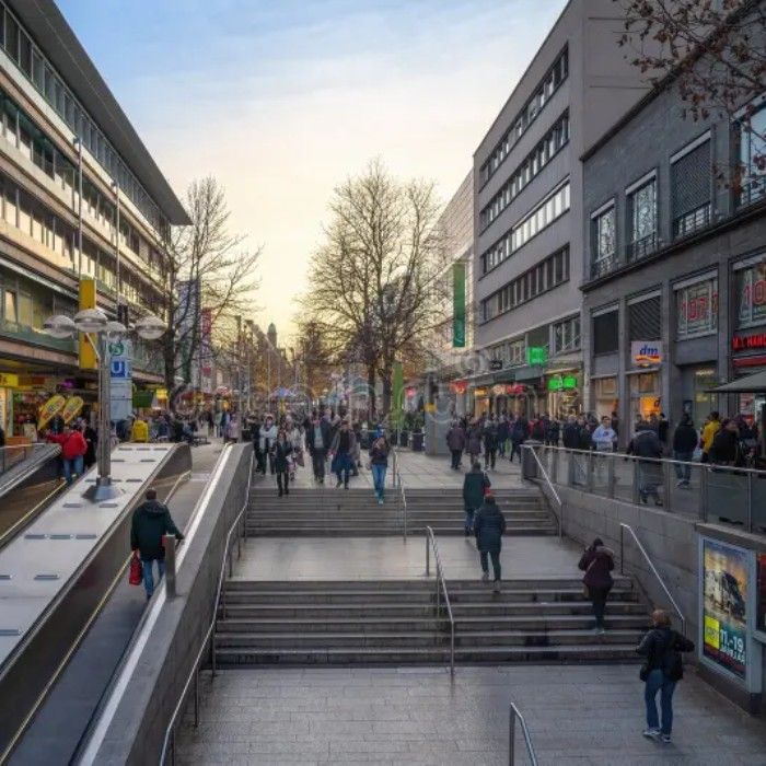 The Art of the Shopping Spree