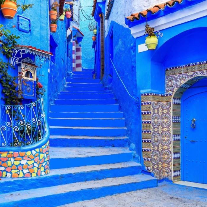 The Blue Gardens of Marrakech