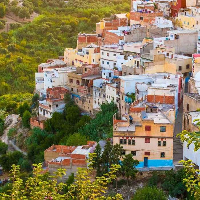 Monkeys, Cedars, and Cave Houses