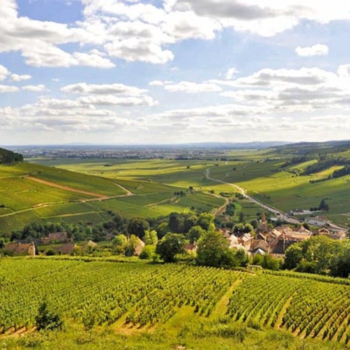 Through Wine Country to historic Lyon