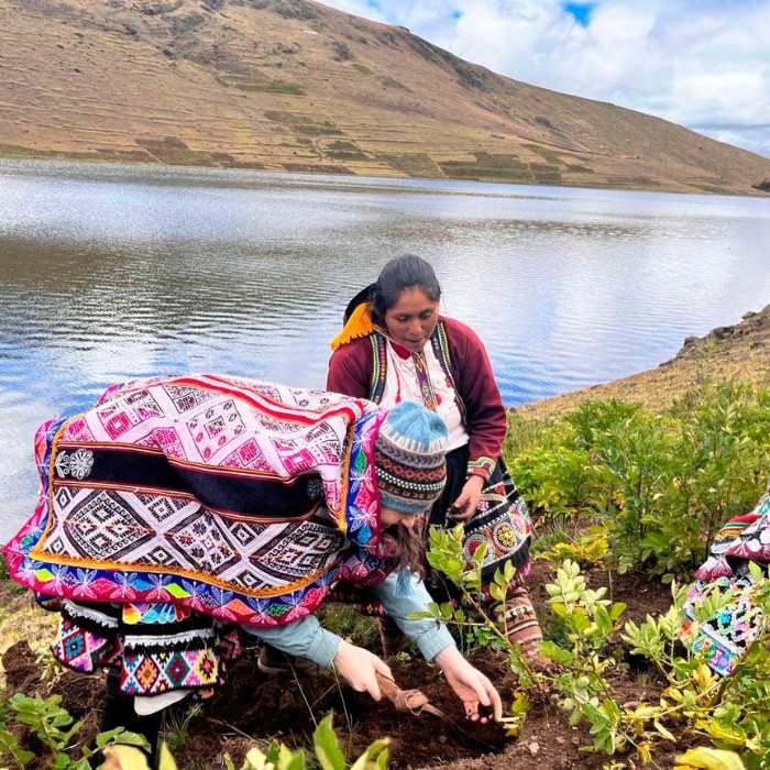 The Sacred Potato Park