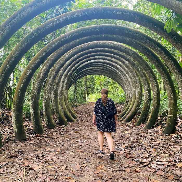 Quito → Tena (Amazon Jungle)