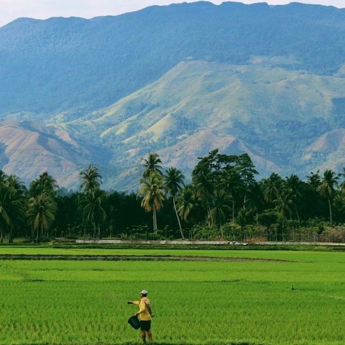 Santa Marta → El Mamey → Ricardito Camp