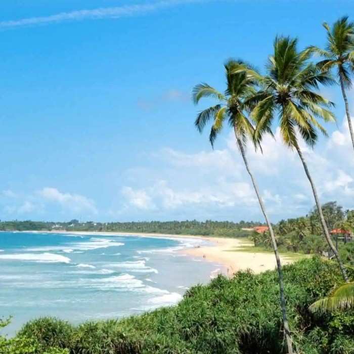 Colombo to Bentota Beach Escape