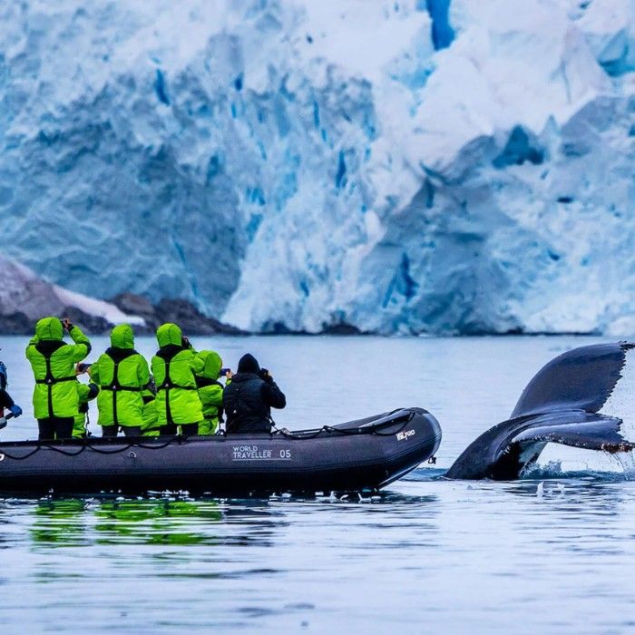 Antarctica Exploration