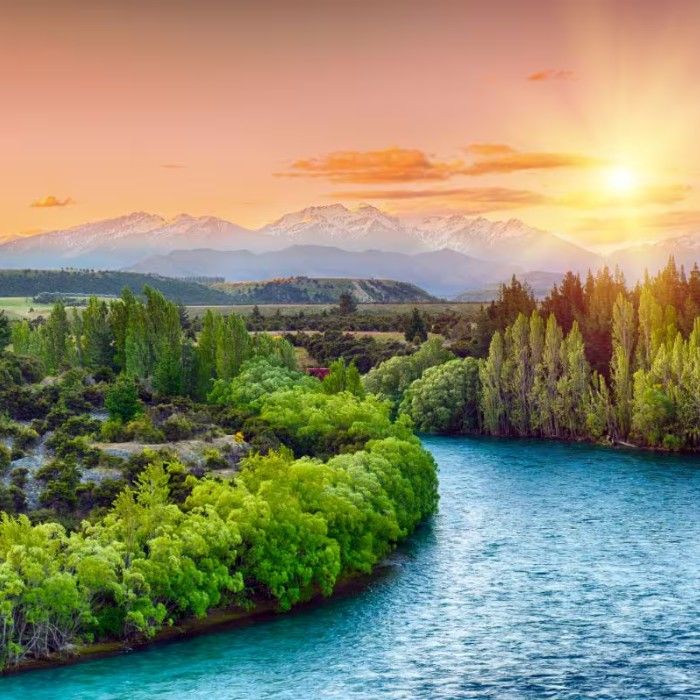 Farewell New Zealand
