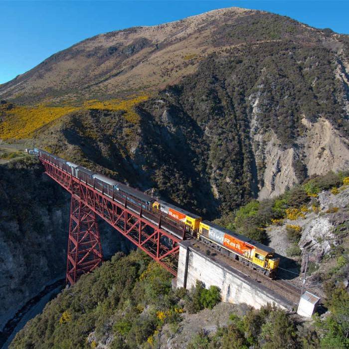 The Great Alpine Train