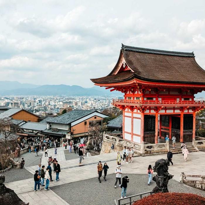 Nara & Osaka Vibes