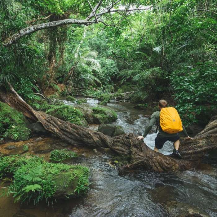 Iriomote Island