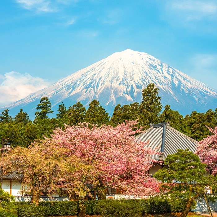 Mount Fuji → Tokyo