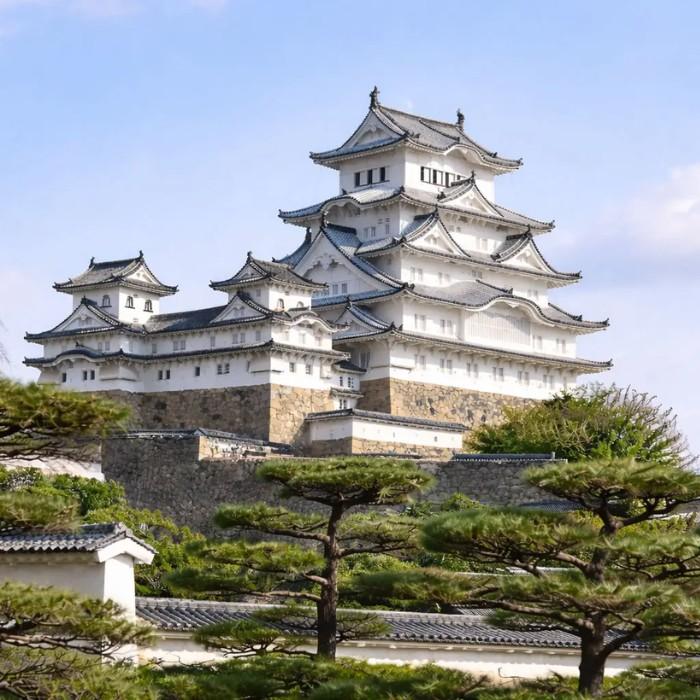 Tokyo’s Icons & Tea Rites
