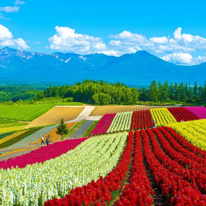 Fly to Hokkaido & Nature Begins