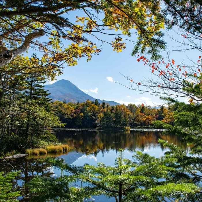 Shiretoko National Park