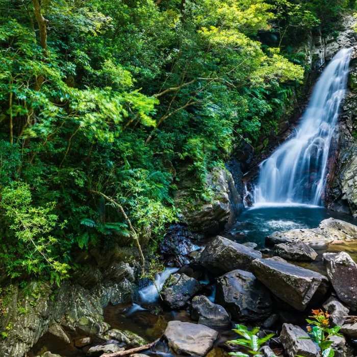 Yanbaru National Park
