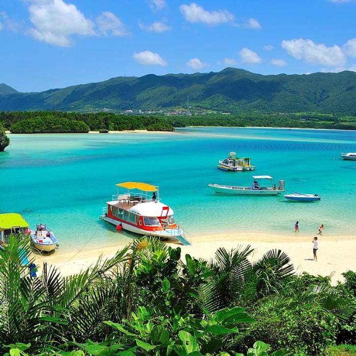 Iriomote Island Exploration