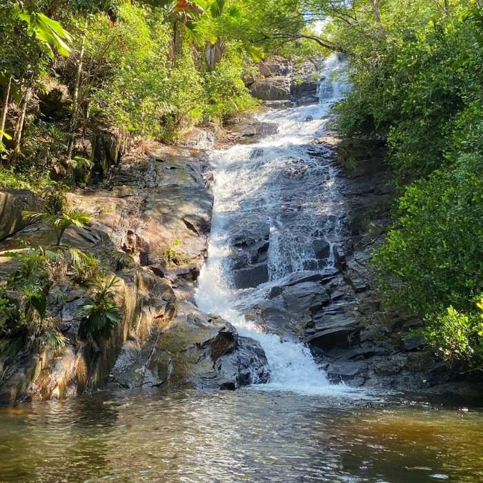 Nature & Island Exploration