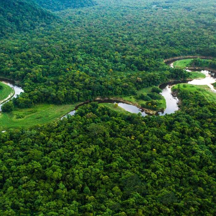 Quito to Amazon Jungle