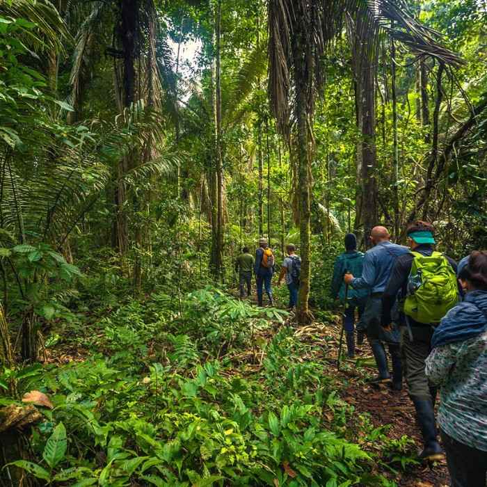 Amazon Jungle Experience