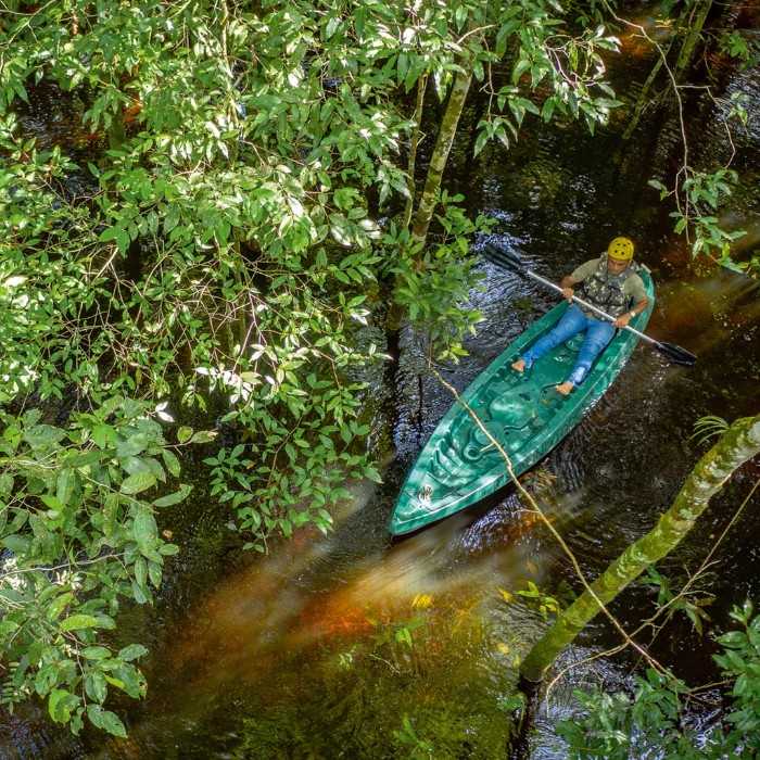 Canoe & Wildlife Activities