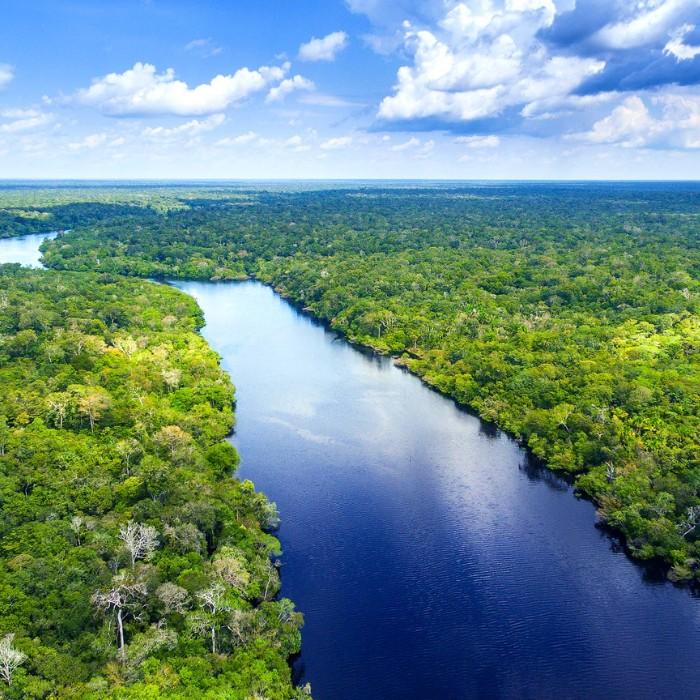 Amazon (Tambopata)