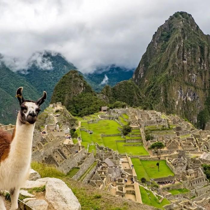 Machu Picchu