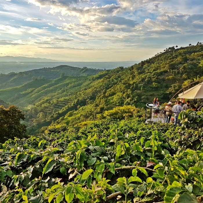 Coffee Region
