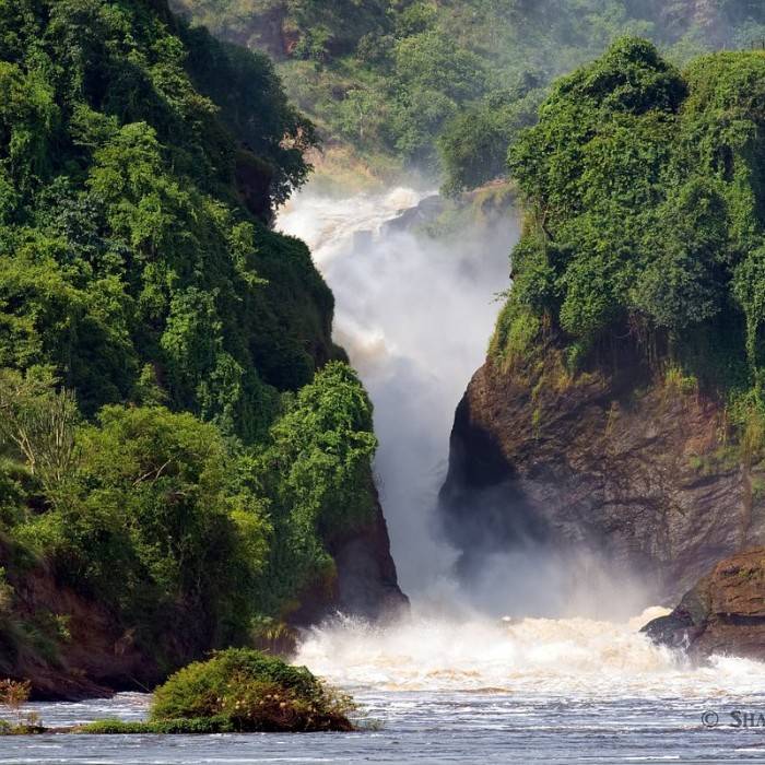 Rhino Tracking & Murchison Falls