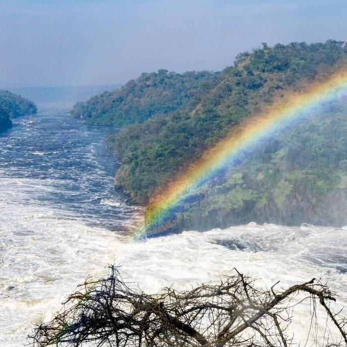 The Mighty Nile & Savannah
