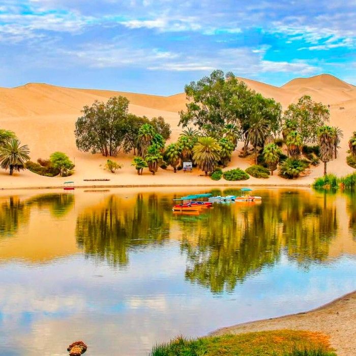 Coast & Huacachina