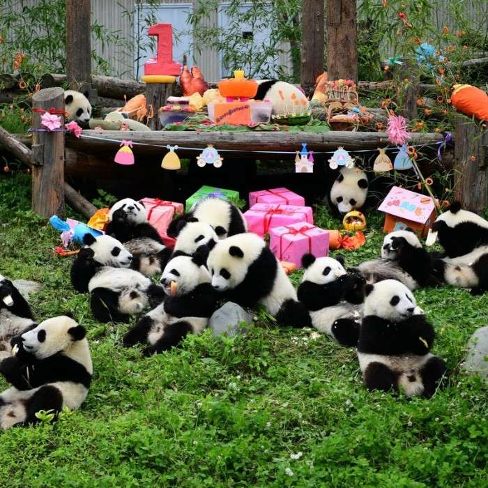 Chengdu