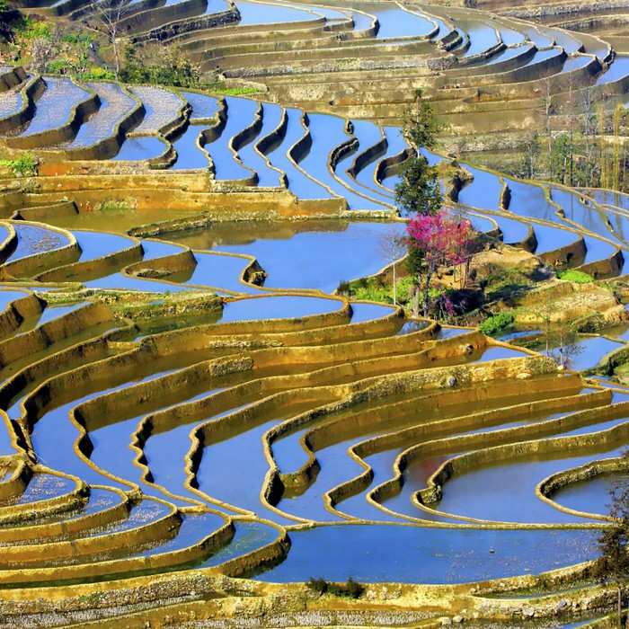 Yuanyang