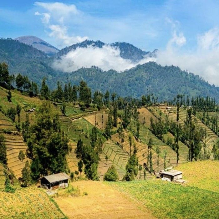 Yogyakarta/Ngadas