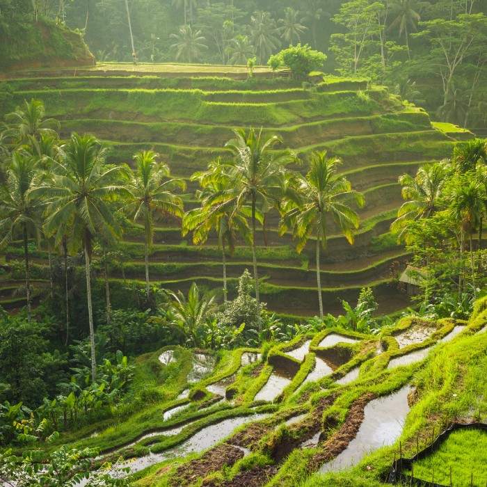 Labuan Bajo/Ubud