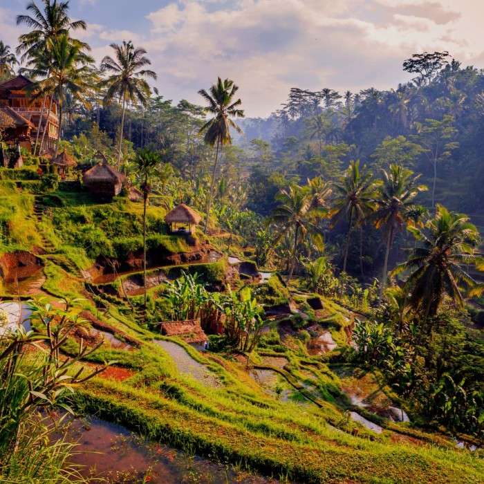 Ubud