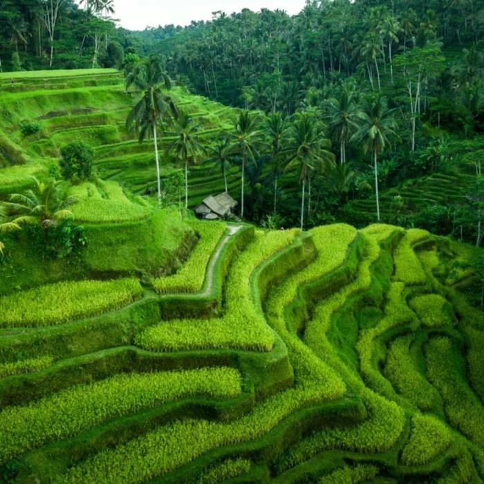 Pemuteran/Kuta
