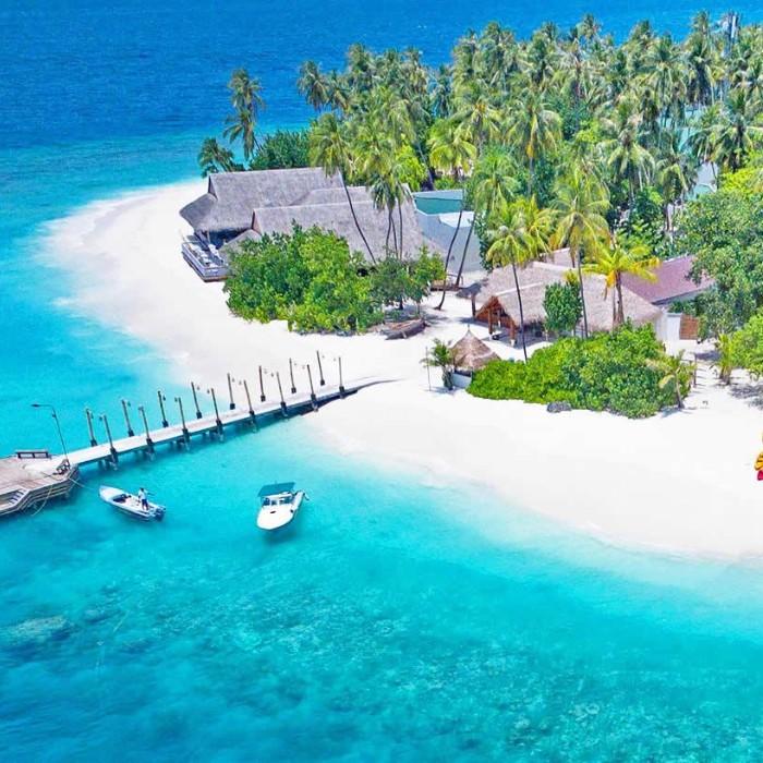 Kuda Bandos | Reef Discovery