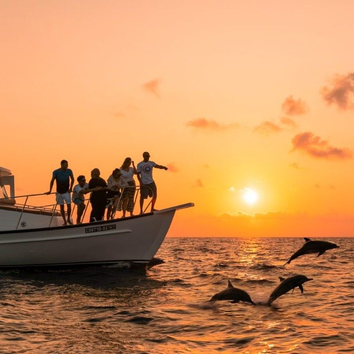 Sunset Dolphin Cruise 