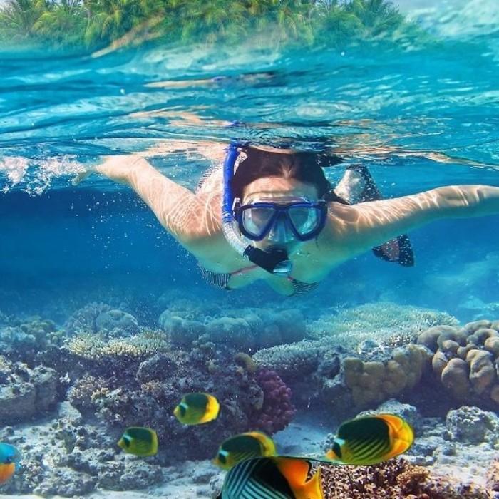 House Reef Snorkeling Don 