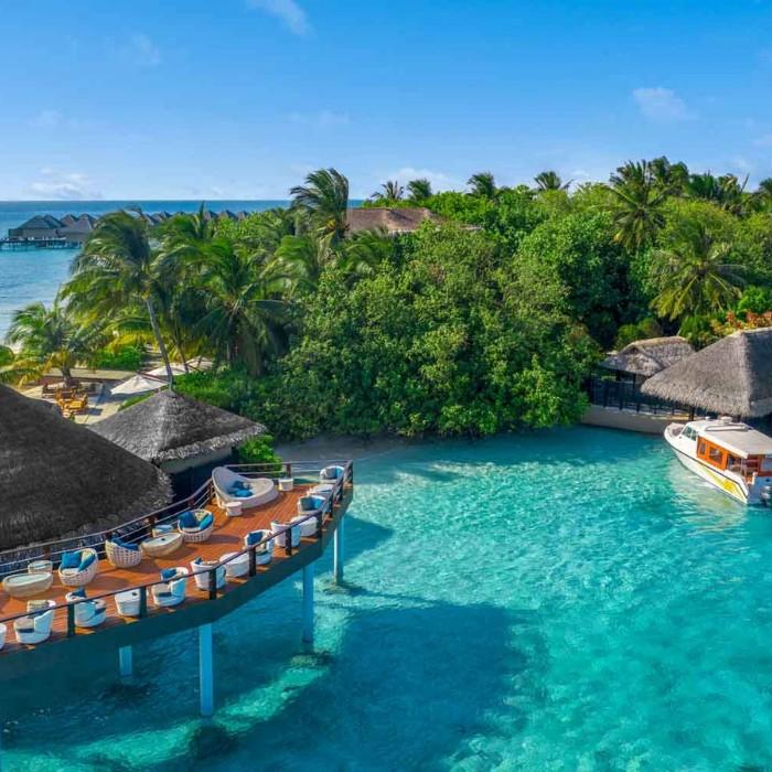 Vadoo Island | Leisure & Dolphin Cruise
