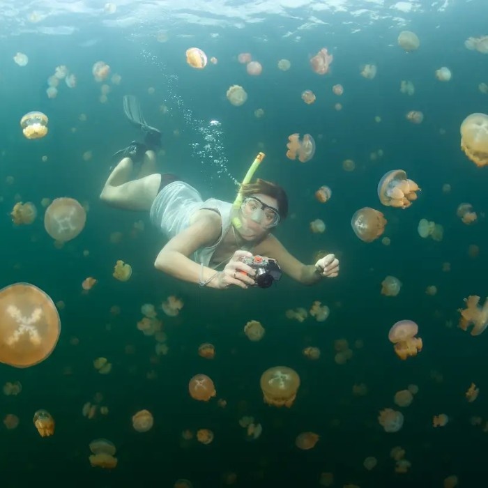 Mecherchar & Jellyfish Lake