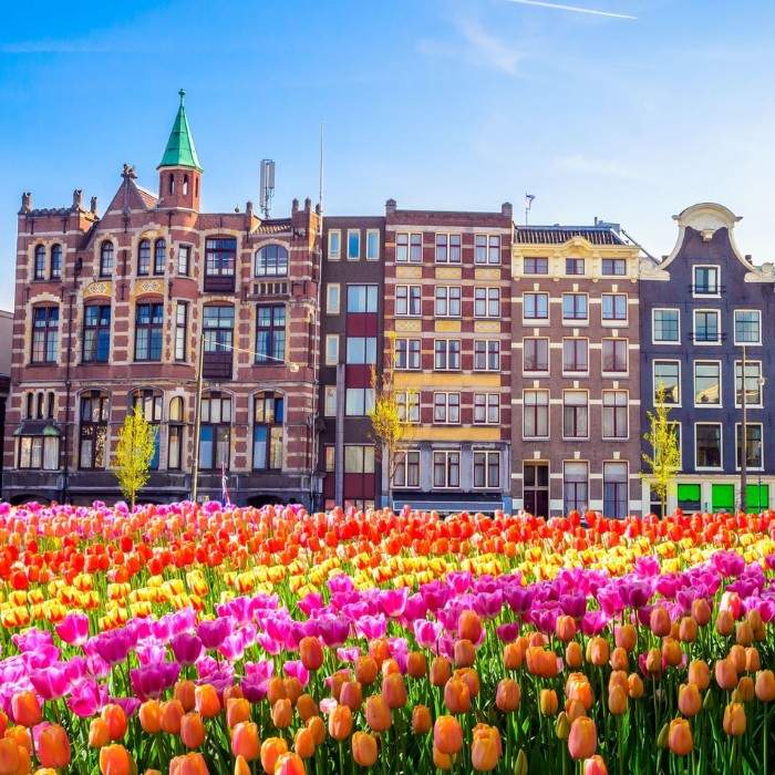 Amsterdam – Bike Tour & City Vibes